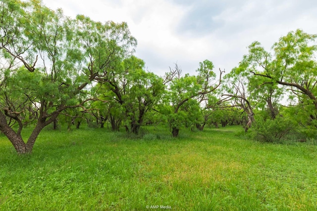 TBD Fm 3116, Anson, TX 79501