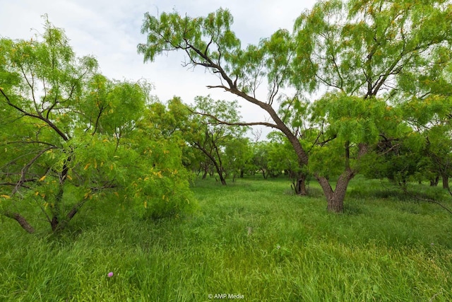 TBD Fm 3116, Anson, TX 79501