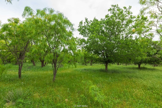 TBD Fm 3116, Anson, TX 79501
