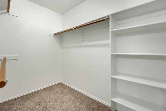 walk in closet featuring carpet