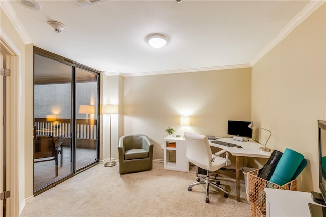 5909 Luther Ln Unit 1700, Dallas, TX 75225 - office area with crown molding, light colored carpet, and baseboards