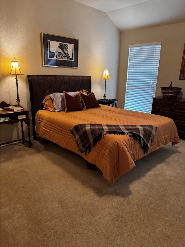 2044 Meadow Park Dr, Princeton, TX 75407 - carpeted bedroom featuring vaulted ceiling