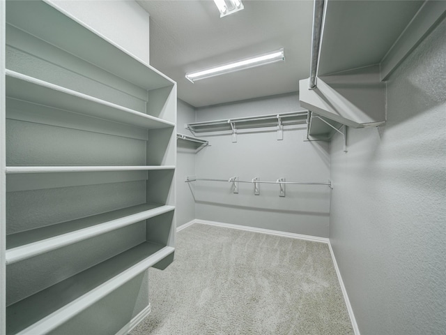 spacious closet with carpet floors