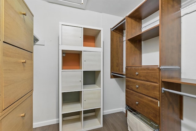 1738 Northaven Ct, Arlington, TX 76012 - walk in closet with dark wood-style floors