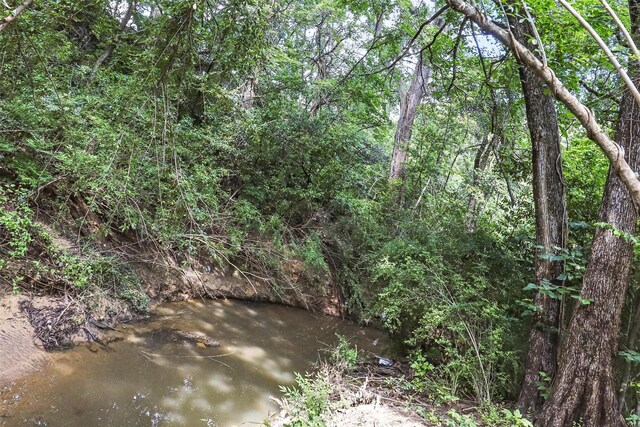 1738 Northaven Ct, Arlington, TX 76012 - view of local wilderness