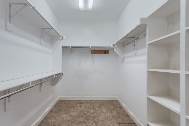 348 Terra Verde Ln, Mckinney, TX 75069 - spacious closet featuring carpet