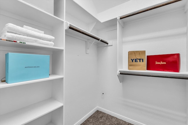 spacious closet with carpet