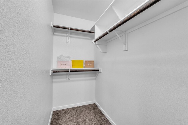 walk in closet featuring carpet floors