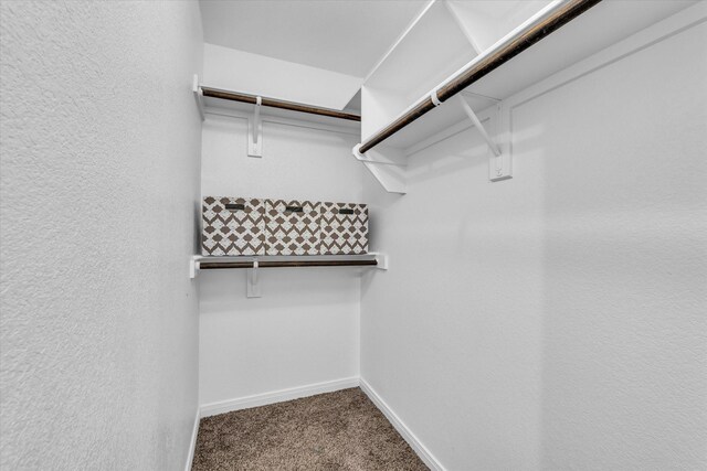 spacious closet with carpet floors