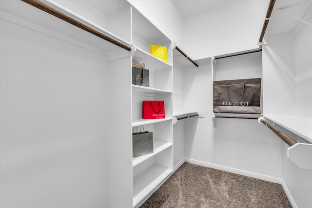 walk in closet with carpet flooring