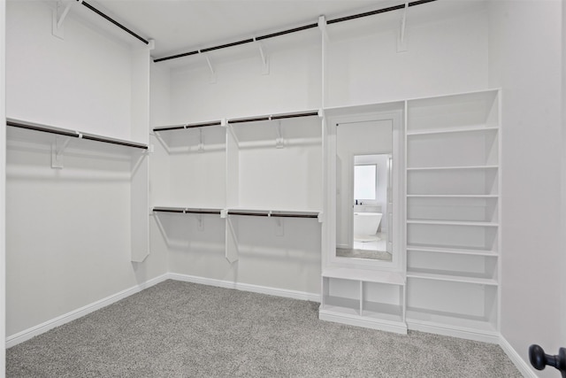 11612 Panther Dr, Godley, TX 76044 - walk in closet featuring carpet floors