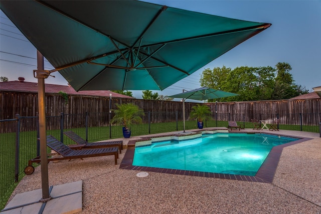 view of swimming pool with a patio area