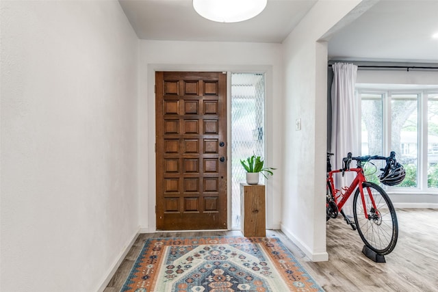 foyer entrance featuring baseboards and wood finished floors