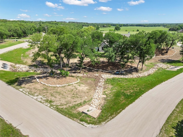 9001 Emma Ct, Granbury, TX 76049 - bird's eye view