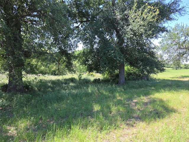 LOT100 Lake Ridge Dr, Streetman, TX 75859