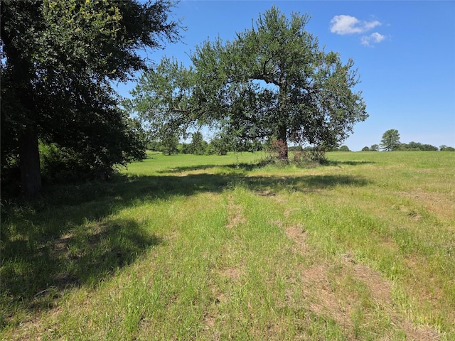 LOT100 Lake Ridge Dr, Streetman, TX 75859