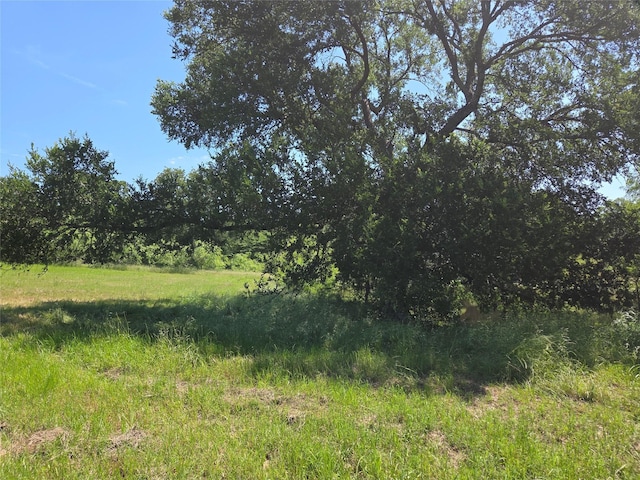 LOT100 Lake Ridge Dr, Streetman, TX 75859