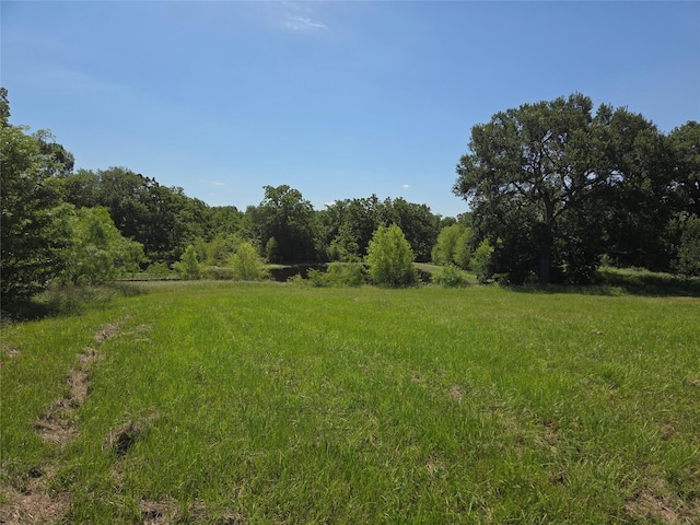 LOT100 Lake Ridge Dr, Streetman, TX 75859