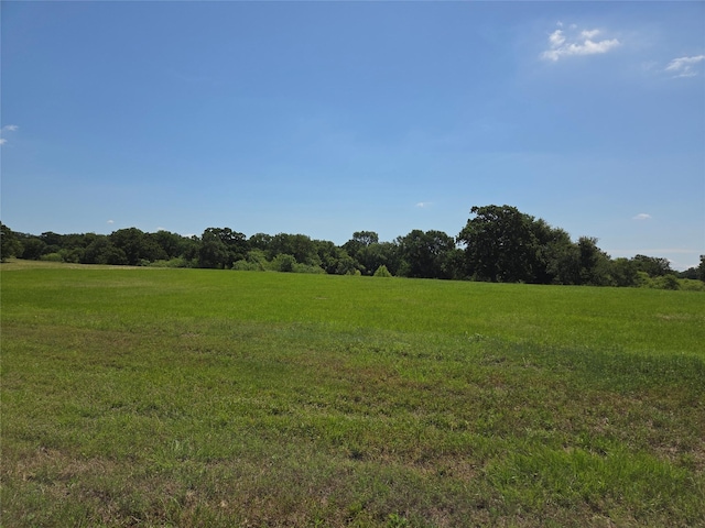 LOT100 Lake Ridge Dr, Streetman, TX 75859
