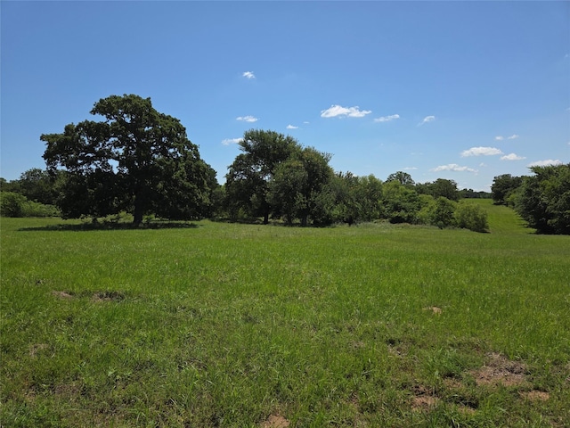 LOT100 Lake Ridge Dr, Streetman, TX 75859