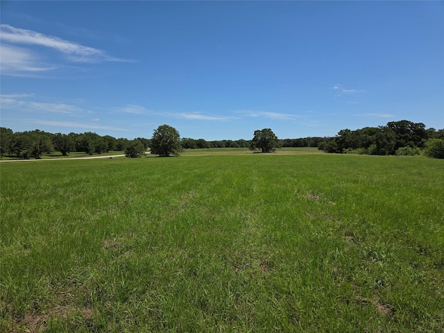 LOT100 Lake Ridge Dr, Streetman, TX 75859