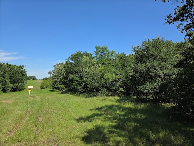 LOT100 Lake Ridge Dr, Streetman, TX 75859