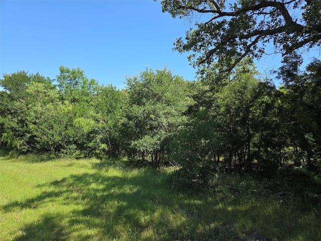 LOT100 Lake Ridge Dr, Streetman, TX 75859