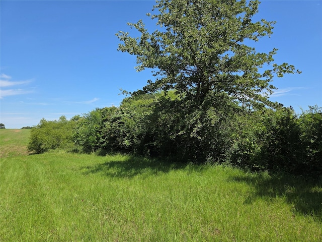 LOT100 Lake Ridge Dr, Streetman, TX 75859