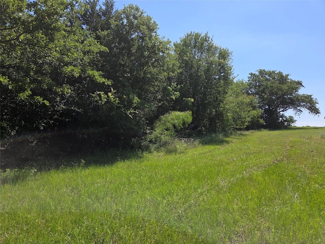 LOT100 Lake Ridge Dr, Streetman, TX 75859