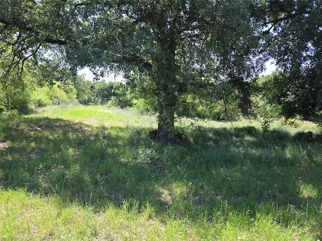 LOT100 Lake Ridge Dr, Streetman, TX 75859