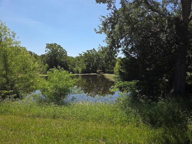 LOT100 Lake Ridge Dr, Streetman, TX 75859