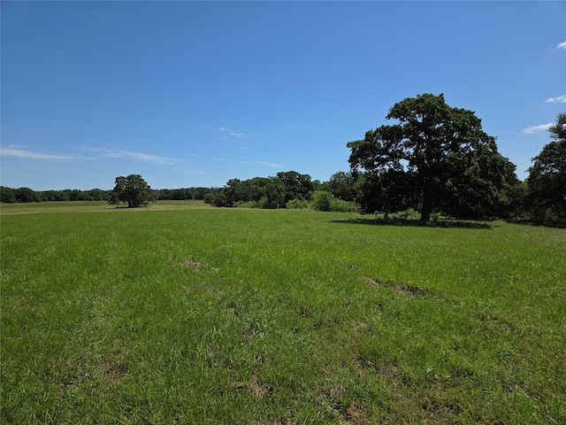 LOT100 Lake Ridge Dr, Streetman, TX 75859