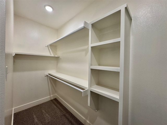 2004 Clay St, Mabank, TX 75147 - spacious closet with dark colored carpet