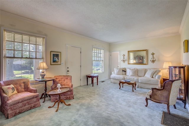 1005 Church St, Sulphur Springs, TX 75482 - living room featuring ornamental molding, carpet, and a textured ceiling