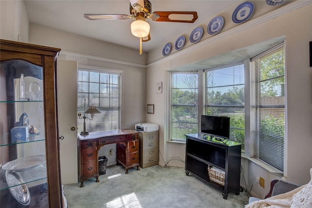 1005 Church St, Sulphur Springs, TX 75482 - office featuring light colored carpet and a ceiling fan