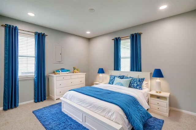 7000 County Road 527, Burleson, TX 76028 - carpeted bedroom with baseboards, multiple windows, and recessed lighting