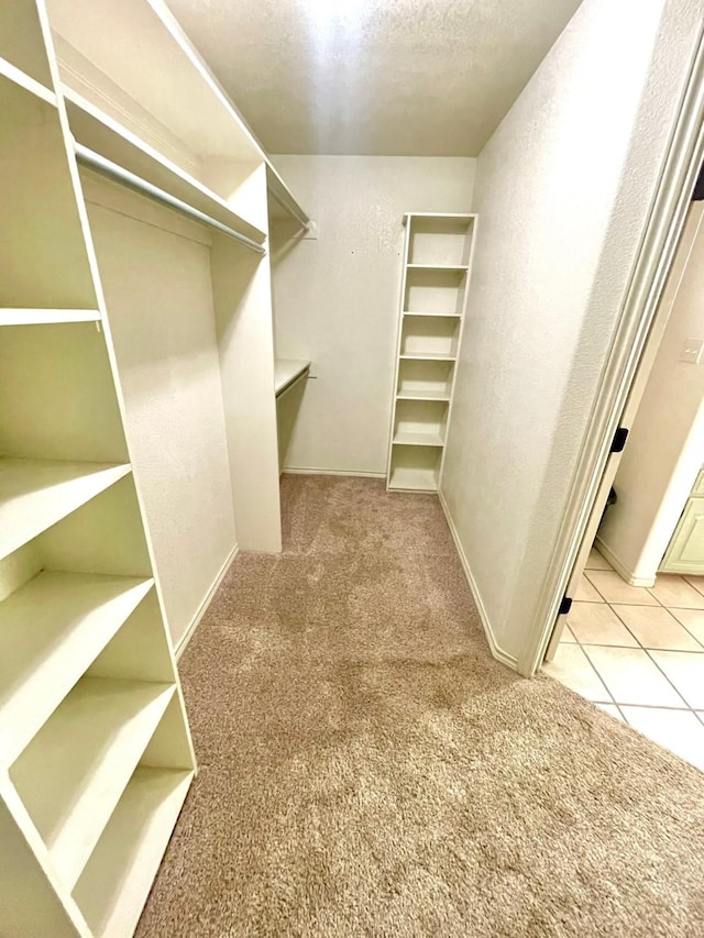 spacious closet featuring carpet flooring