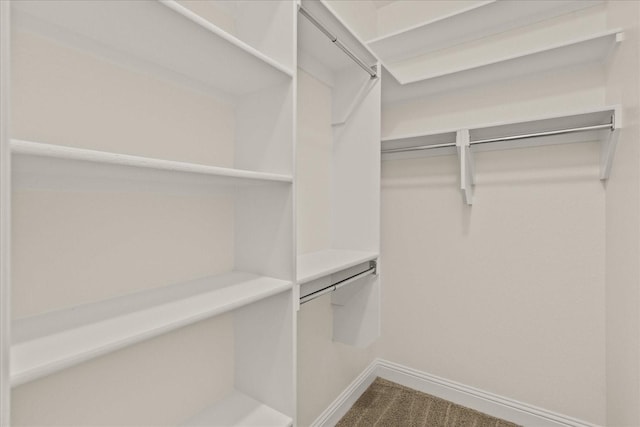 8325 Western, The Colony, TX 75056 - spacious closet featuring carpet floors