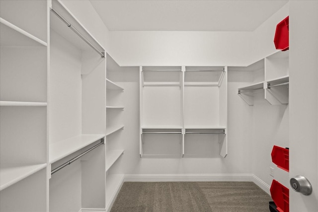 8325 Western, The Colony, TX 75056 - spacious closet with carpet flooring