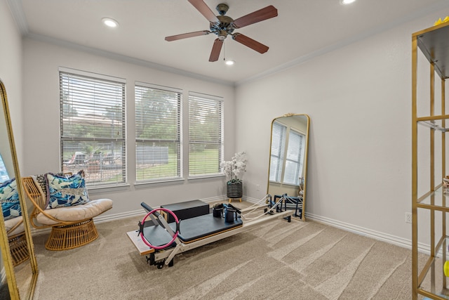 147 Rim Rock Rd, Aledo, TX 76008 - exercise room featuring crown molding, ceiling fan, recessed lighting, baseboards, and carpet floors