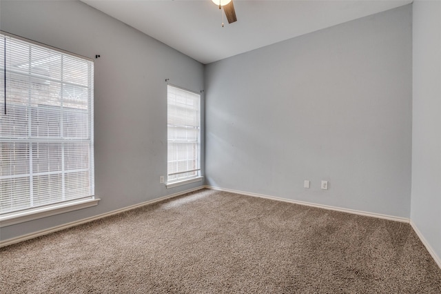 6308 Bittersweet Dr, Arlington, TX 76001 - carpeted empty room with a ceiling fan and baseboards
