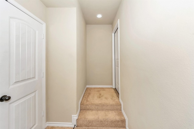 8625 Tribute Ln, Fort Worth, TX 76131 - stairs with carpet flooring and baseboards