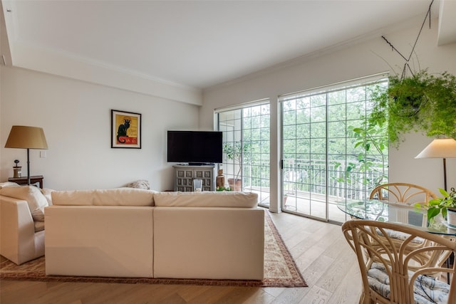 3225 Turtle Creek Blvd Unit 326, Dallas, TX 75219 - living area with light wood finished floors and crown molding