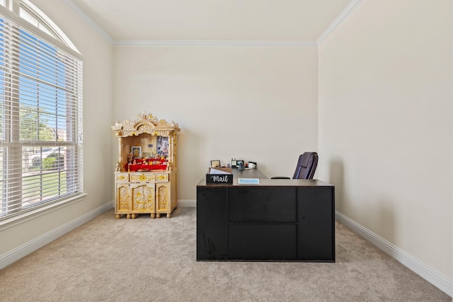 417 Burberry, Grand Prairie, TX 75052 - office area featuring ornamental molding, light colored carpet, and baseboards