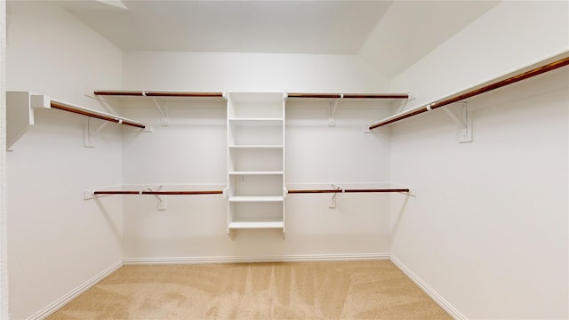 304 Eden Dr, Fate, TX 75189 - walk in closet featuring carpet flooring
