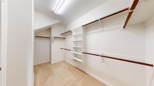 304 Eden Dr, Fate, TX 75189 - spacious closet with light carpet