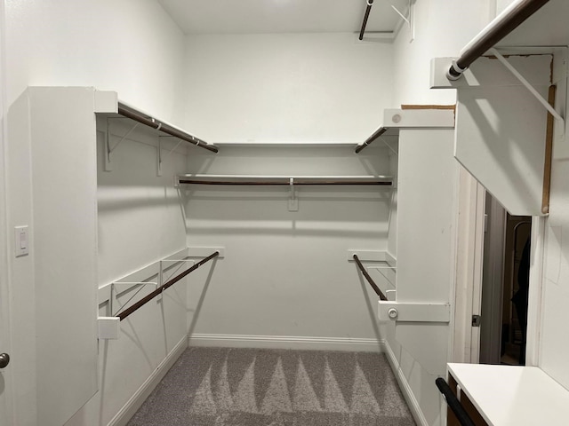 4557 El Paso Dr, Plano, TX 75024 - walk in closet with carpet flooring