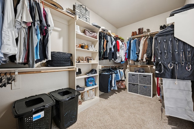 walk in closet with carpet flooring