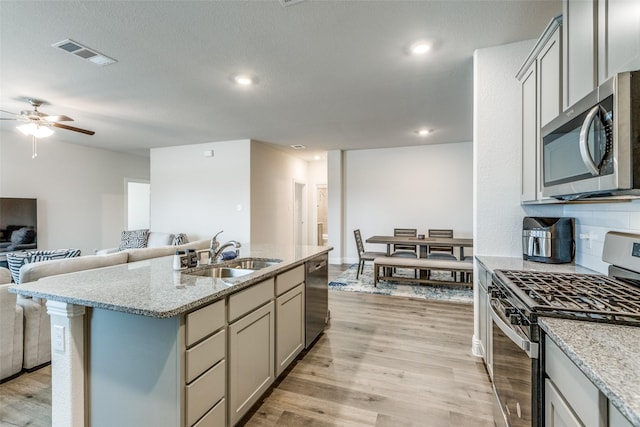 7332 Carnation St, Little Elm, TX 76227 - kitchen with stainless steel appliances, a sink, ceiling fan, open floor plan, and light wood-style flooring