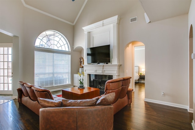 6513 Crawley Dr, Plano, TX 75093 - living room featuring high vaulted ceiling, arched walkways, a fireplace, dark wood-style flooring, and baseboards